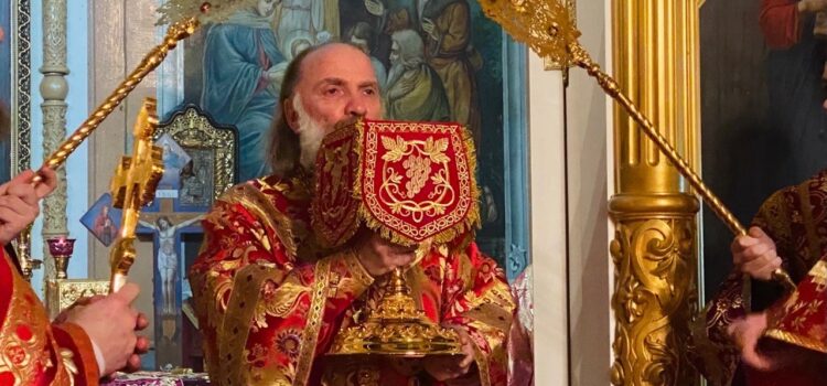 День архиерейской хиротонии епископа Питирима
