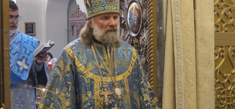 Проповедь епископа Душанбинского и Таджикистанского Питирима в Неделю 13-ю по Пятидесятнице