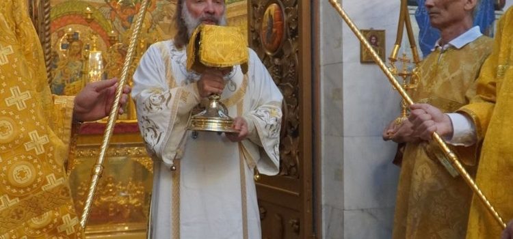 Проповедь епископа Душанбинского и Таджикистанского Питирима в Неделю 14-ю по Пятидесятнице